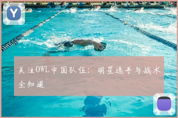 关注OWL中国队伍:明星选手与战术全知道