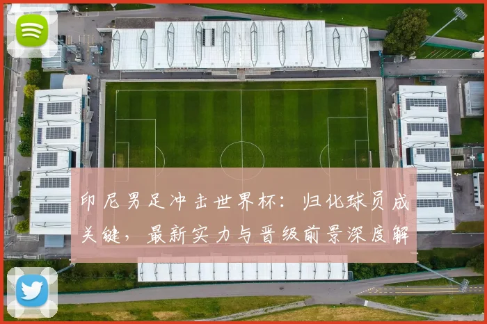 印尼男足冲击世界杯:归化球员成关键,最新实力与晋级前景深度解析