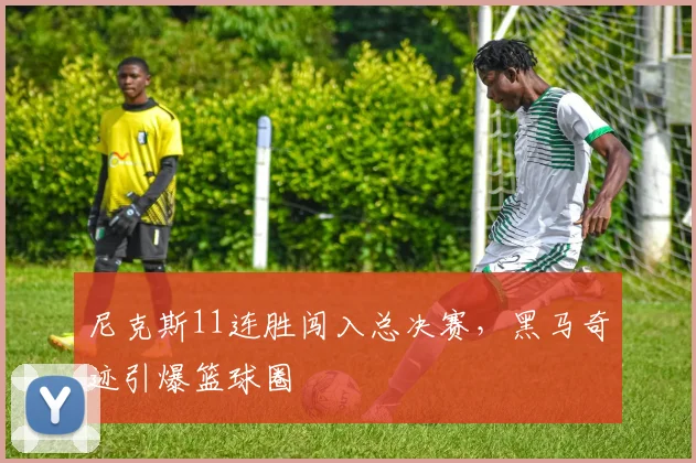 尼克斯11连胜闯入总决赛,黑马奇迹引爆篮球圈